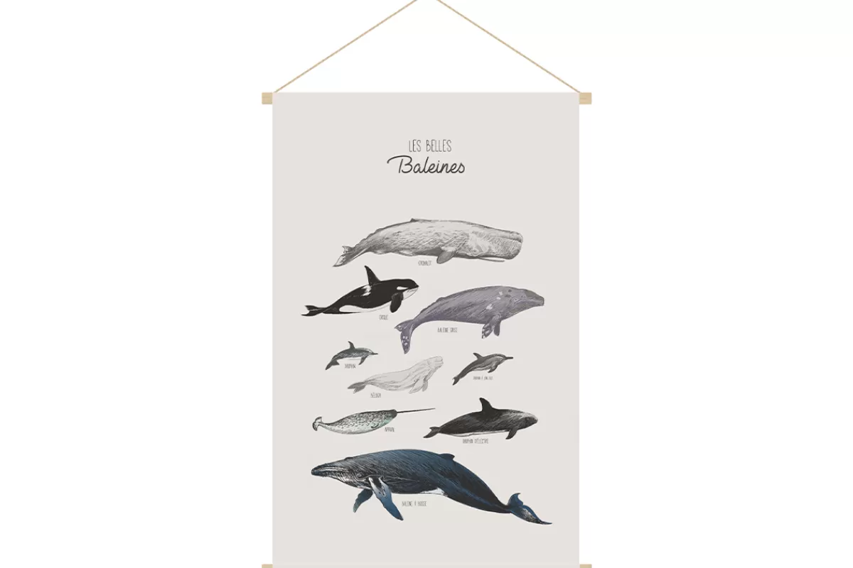 Miliboo Complementos & Decoración Niño-Kakemono infantil con ilustración de ballenas 40 x 60 cm OCEAN